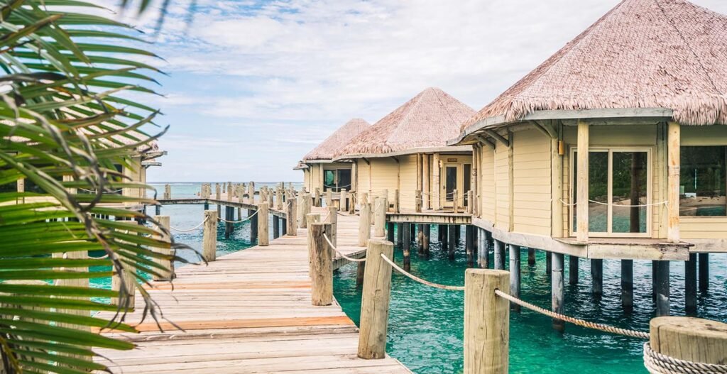 Accommodation Options