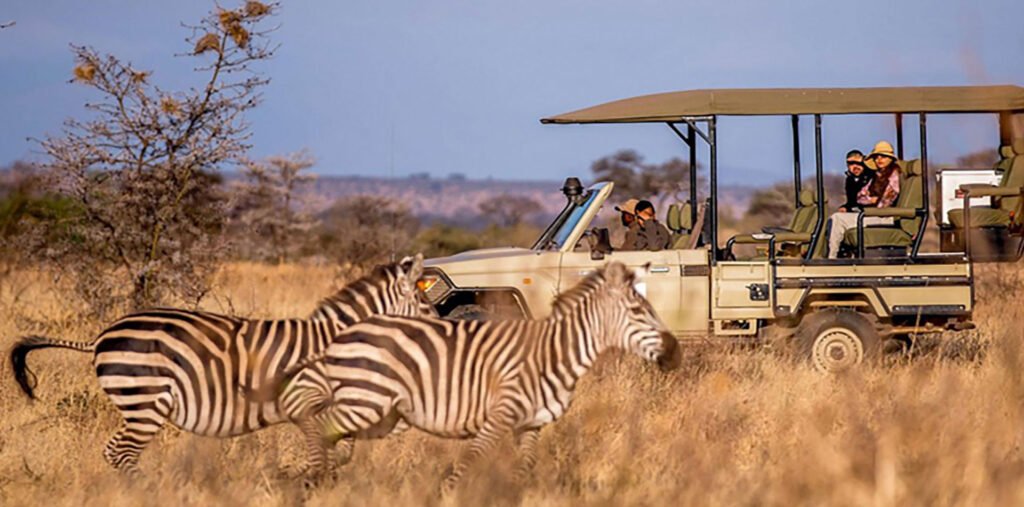 Safari Experiences at Chobe Safari Lodge