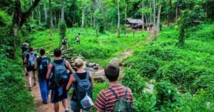 Who Offers Eco-Conscious Travel Tips