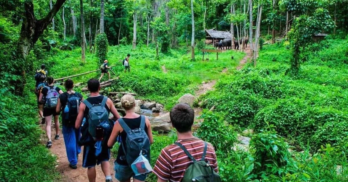 Who Offers Eco-Conscious Travel Tips