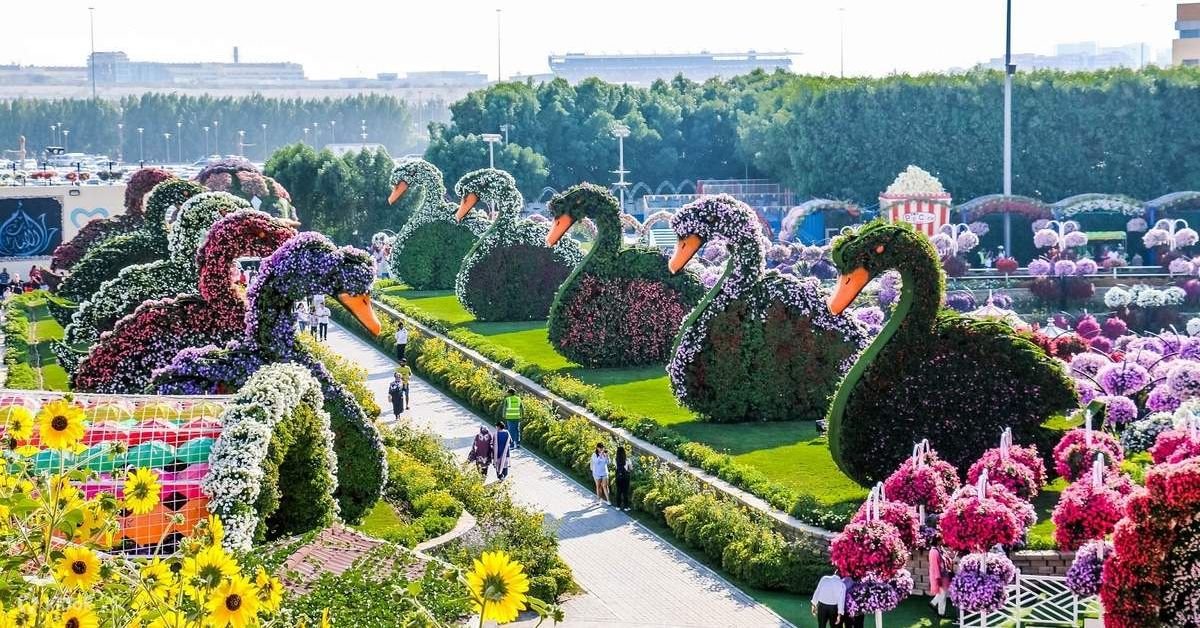 Dubai Miracle Garden Tickets
